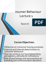 Consumer Behaviour: Term IV