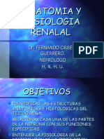 Anatomia Rinon y Fisiologia