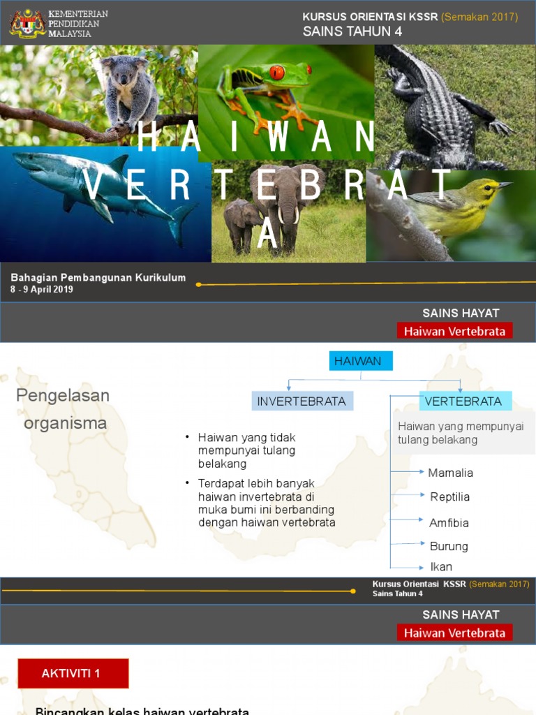 02a Haiwan Vertebrata Pdf