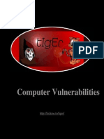 Computer Vulnerabilities