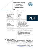 Ejemplo de Informe Psicologico