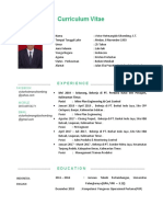 Curriculum Vitae