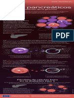 Islotes Pancreático