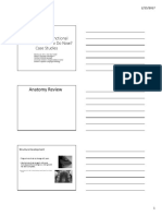 Anatomy Review: Orofacial Myofunctional Disorders: What To Do Now? Case Studies