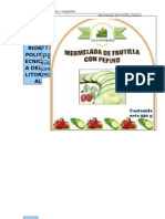 Informe - Proyecto Mermelada de Pepino Con Frutilla