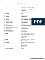 Abdomen Spotters - Anatomy