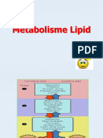 (Kuliah Prima) Metabolisme Lipid
