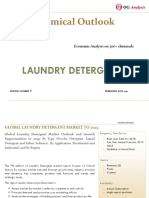 OGA_Chemical Series_Laundry Detergent Market Outlook 2019-2025