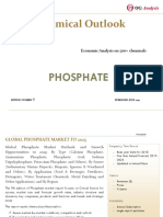 OGA - Chemical Series - Phosphate Market Outlook 2019-2025