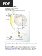 RNA Interference: Navigation Search