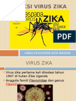 Waspada Virus Zika