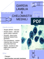 Giardia Lamblia 