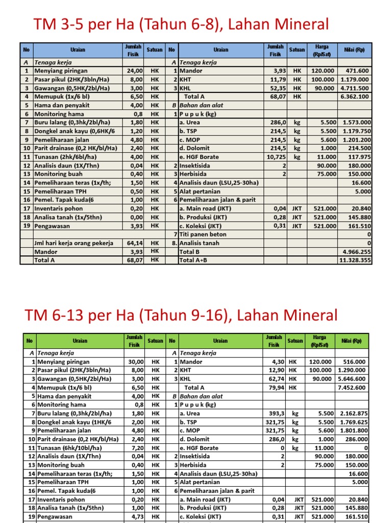 Rincian Biaya Kebun Kelapa Sawit | PDF