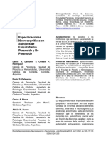 Especificaciones Neurocognitivas en Subtipos de Esquizofrenia Paranoide y No Paranoide