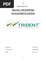 Travel and Expense Management System: Project Report On