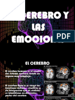 El cerebro y las emociones.pptx