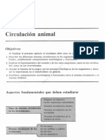 98669334-0CCAP-7-CIRCULACION-ANIMAL.pdf