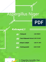 Aspergillus Niger