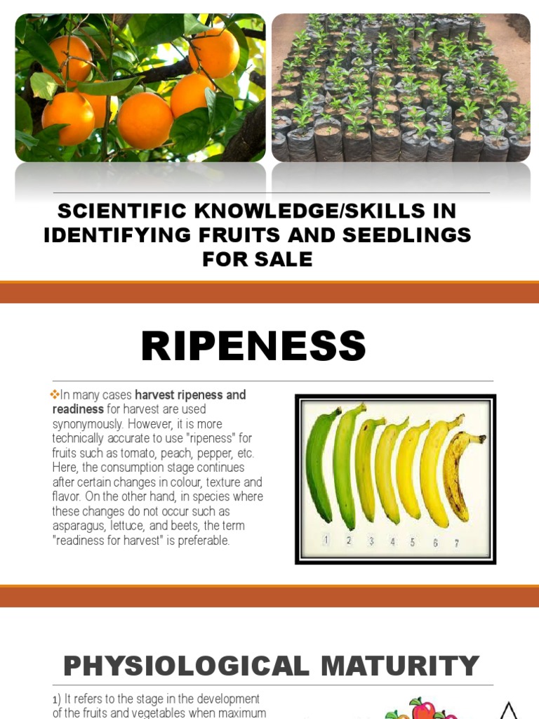KNOWLEDGE/SKILLS IN IDENTIFYING FRUITS/SEEDLINGS FOR SALE
