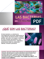 Las Bacterias