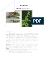 oregano.pdf