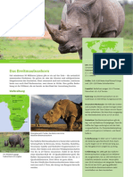 Artensteckbrief Breitmaulnashorn