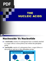 Bio Lec 8 - Nucleic Acid