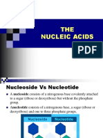 Bio Lec 8 - Nucleic Acid