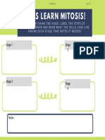 lets learn mitosis -3