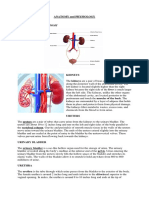 Anatomy and Physiology