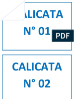 CALICATAS.docx