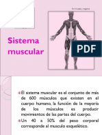 Sistema-Muscular.pptx