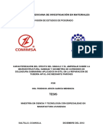 TESIS Fidencio J G M.pdf