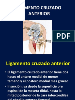 Ligamento Cruzado Anterior