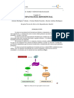 043 - FISIOPATOLOGÍA RINOSINUSAL.pdf