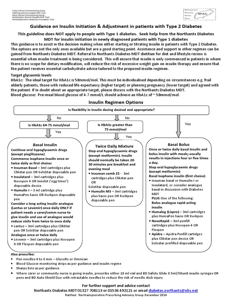 Insulin Initiation Guidelines for Type 2 Diabetes | PDF | Insulin ...