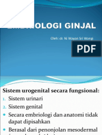 Embriologi Ginjal