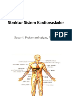 Struktur Sistem Kardiovaskuler