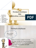 Trichuris Trichiura Dan Enterobius Vermucularis