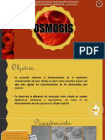 Osmosis Dioapositiva Exposi