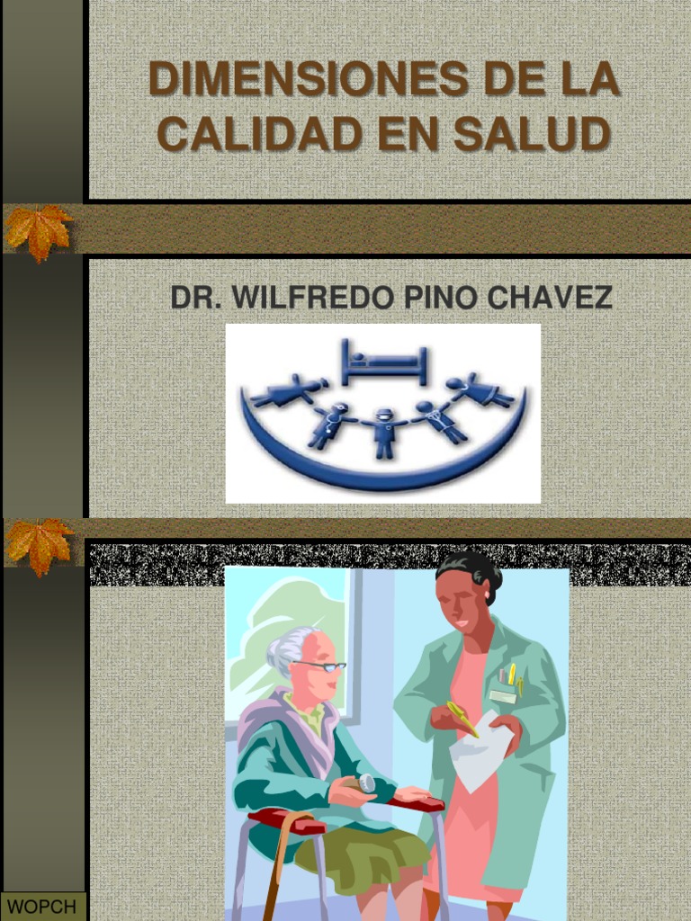 Dimensiones de Calidad en Salud según Donabedian | PDF | Calidad ...