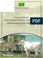 Uso Eficiente de Sales Proteinadas para Ganado en Pastoreo