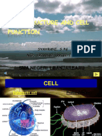 Biologi: Struktur & Fungsi Sel