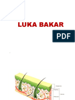 Chapter 08 Luka Bakar