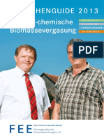 2013 BG Biomassevergasung