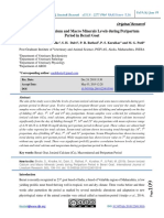 SERUM MINERAL LEVELS