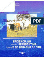 Eficiencia No Manejo Reprodutivo