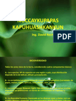 ÑOCCAYKUPAPAS KAPUHUASHKANKUN