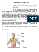 PARÁLISIS CEREBRAL EN ADULTO MAYOR.docx