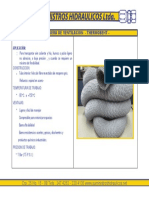 Manguera PDF